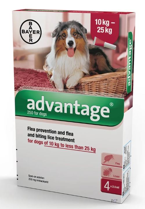 אמפולות נגד פרעושים אדוונטג’ 250 לכלב 10-25 ק”ג